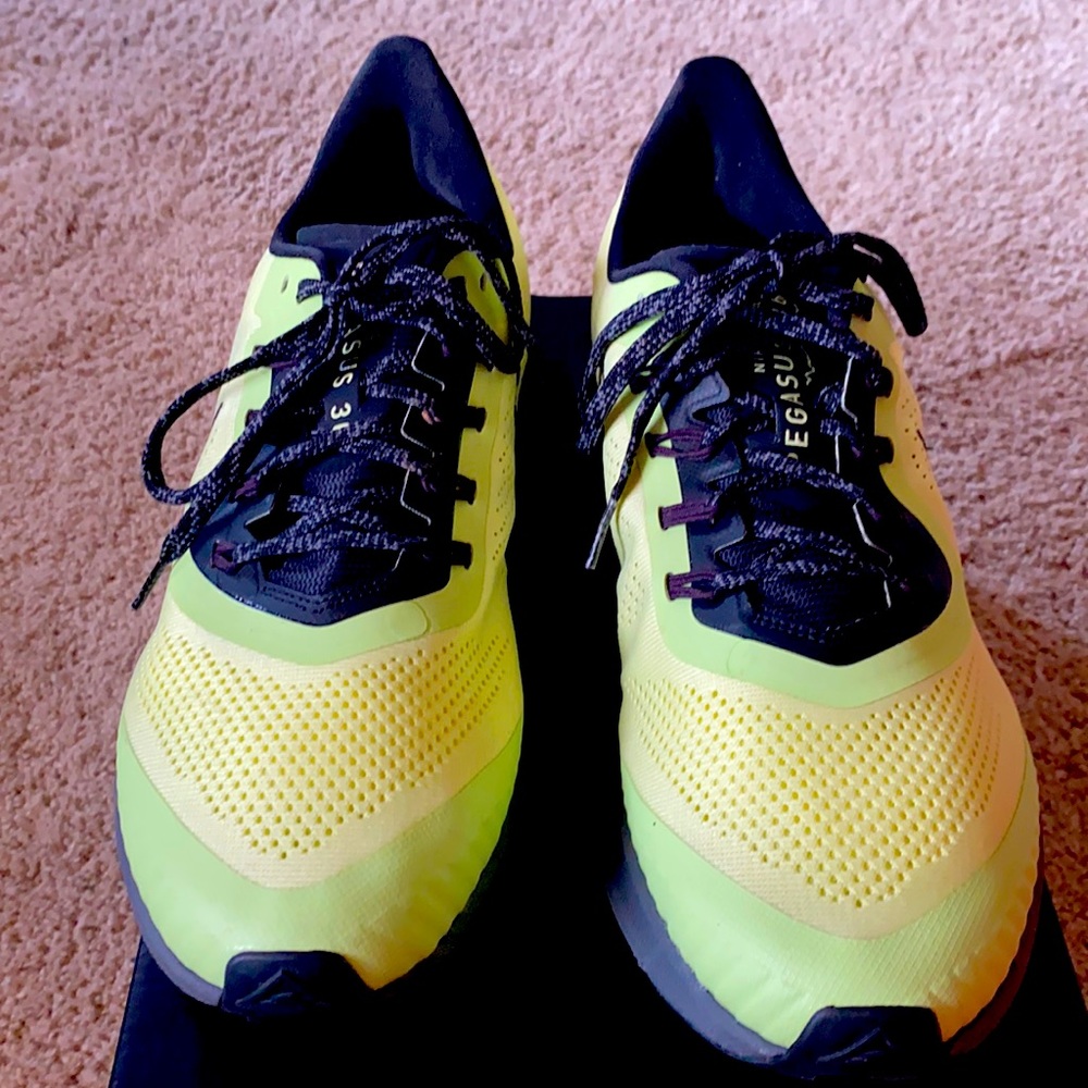 Nike Pegasus Trail Shoes worn once. Size 11 men's.